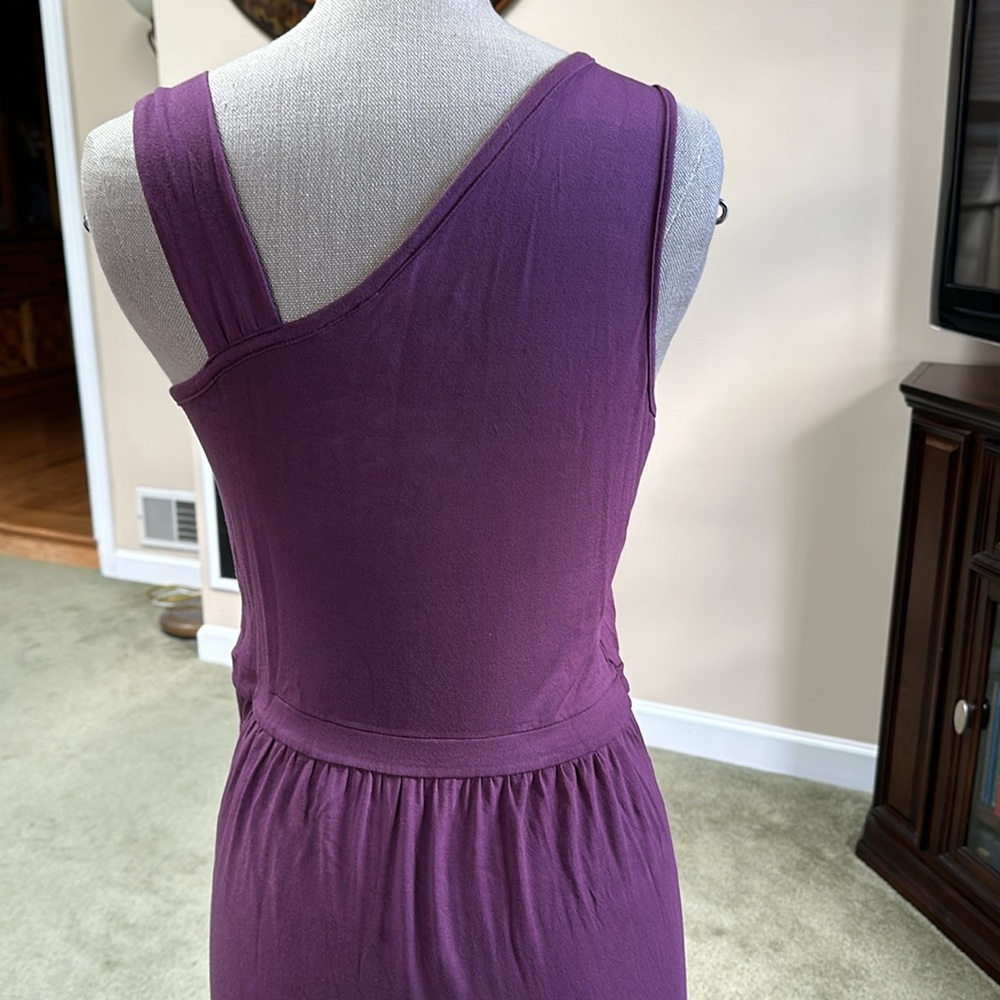 Barney’s Dress - Picture 4 of 4